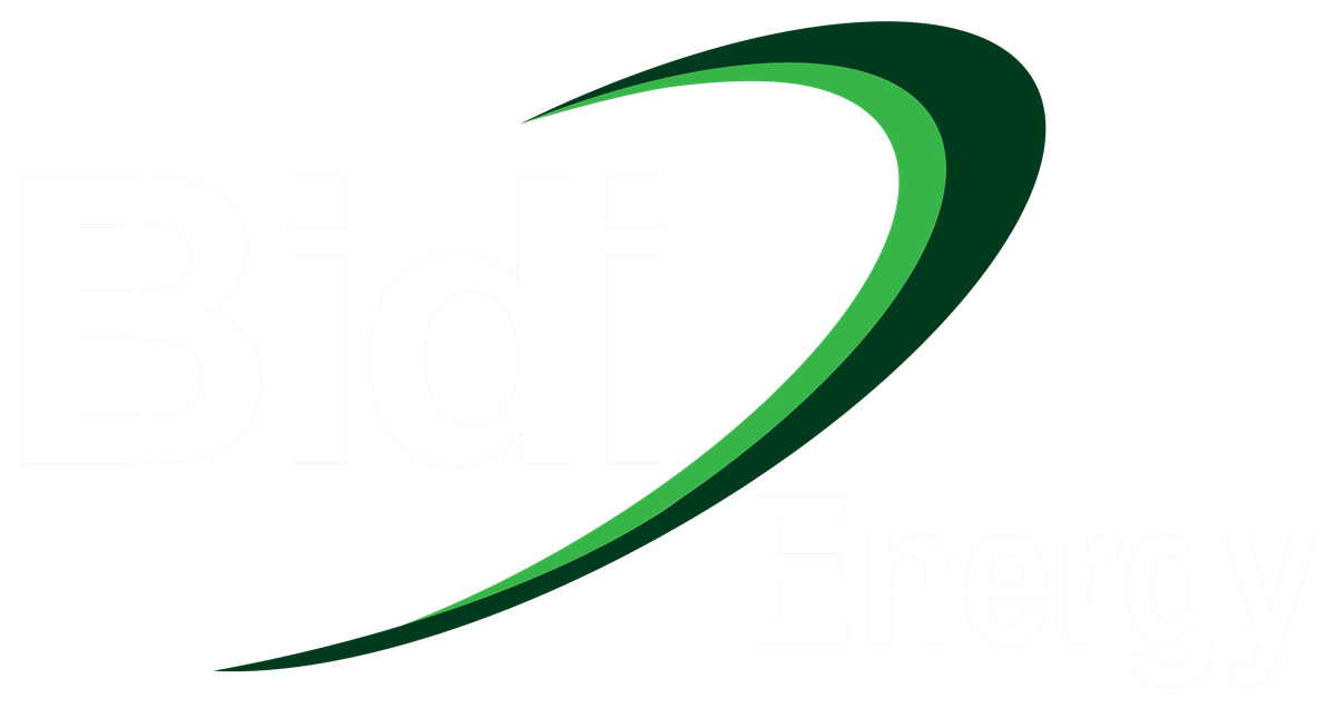Bidi Group Energy